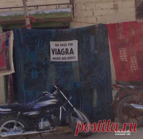 Фото европееца в Индии