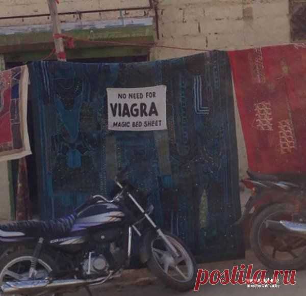 Фото европееца в Индии