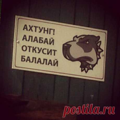 Хочу чтобы вас улыбнуло!!!