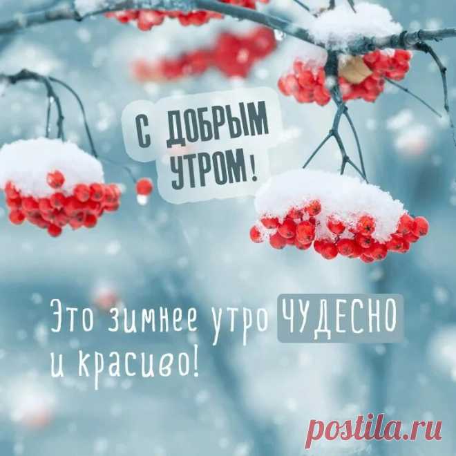 доброе утро зима: 2 тыс изображений найдено в Яндекс Картинках