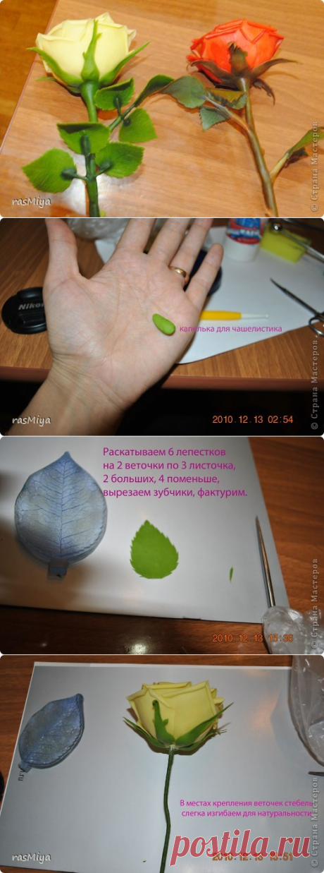 МК  РОЗА