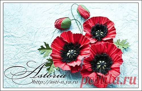 МК маки - ASTORIA — я.ру