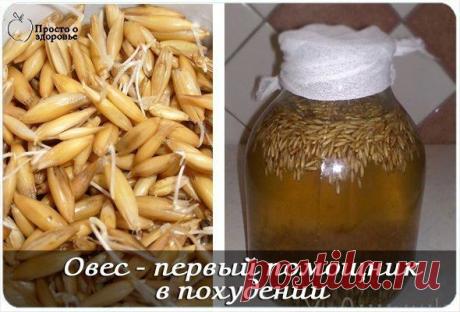 Светлана Лисаченко