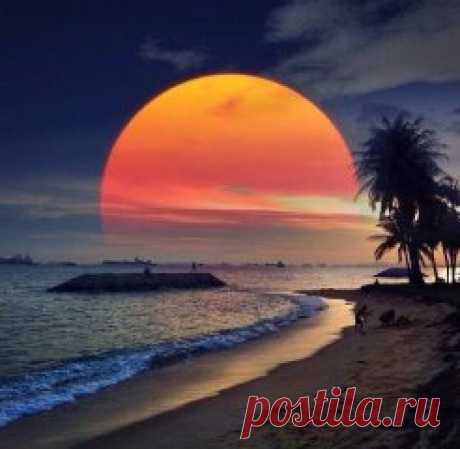 Не то, что мните вы, природа:
Не слепок, не бездушный лик -
В ней есть душа, в ней есть свобода,
В ней есть любовь, в ней есть язык...
Фёдор Тютчев