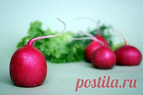 Тропинка к Здоровью – Google+