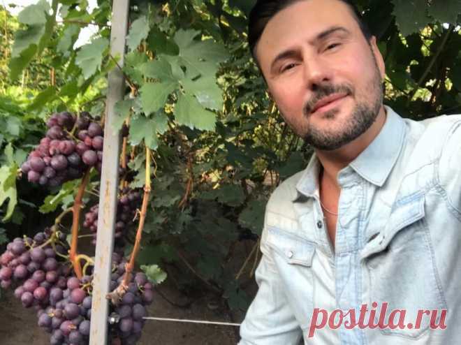 Огурцы и томаты будут хорошо расти даже в холодную погоду. 1001-ый рецепт защиты растений от болезней