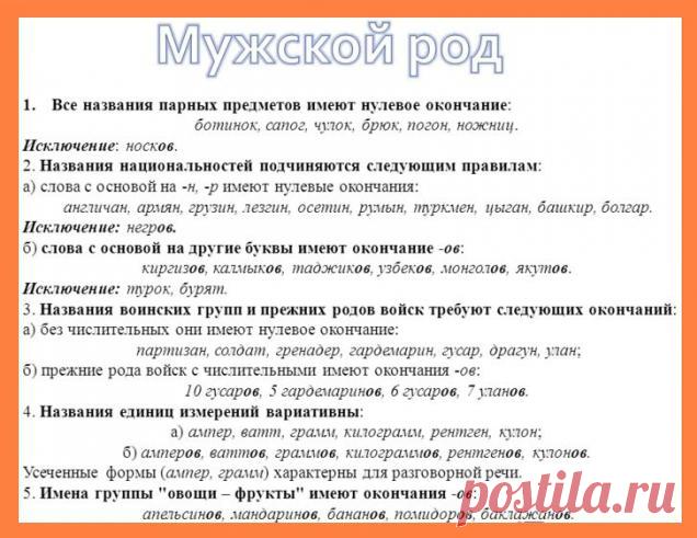 prilagatelnoe-k-slovu-noski-8799-large.jpg (636×491)