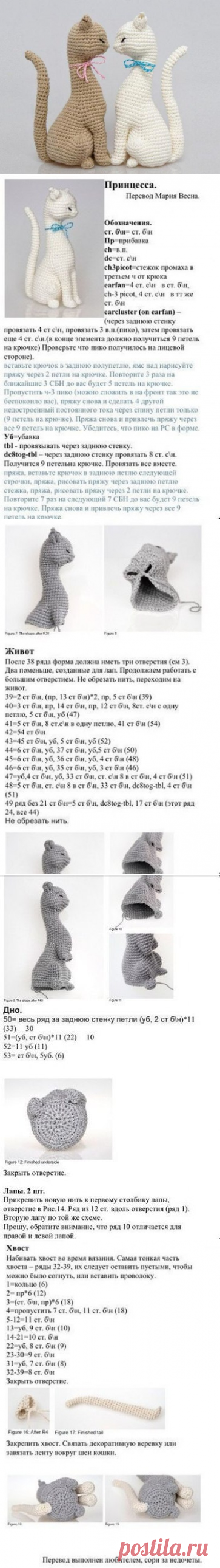 Милые котики