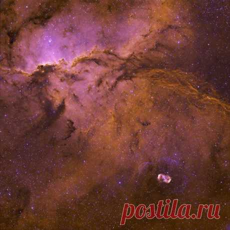 Эмиссионная туманность NGC 6188 находится на краю большого молекулярного облака, невидимого в оптическом диапазоне, на расстоянии около 4 тысяч световых лет от нас в южном созвездии Жертвенника / Интересный космос
