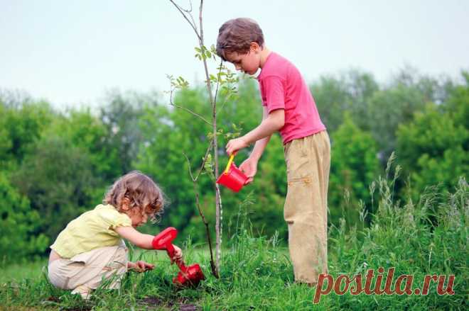 Методы, формы и средства экологического воспитания🌳🌎 #дети #воспитание #экология  #родителям #мамам