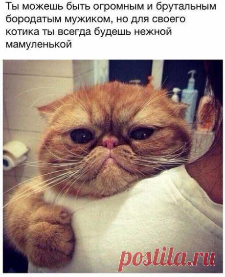 )))