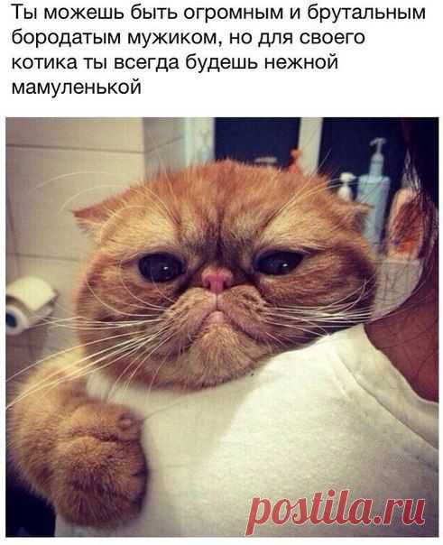 )))