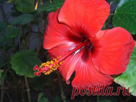 Лето | Фотографии Ксюша Ксюшина | 201 фото