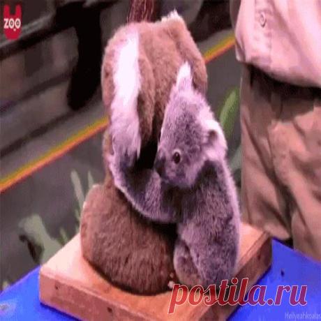 С днем объятий, дорогая!