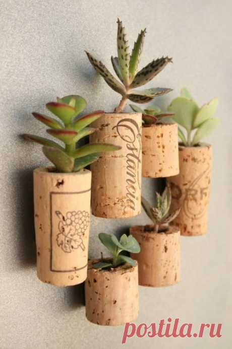 мини-сад на стене