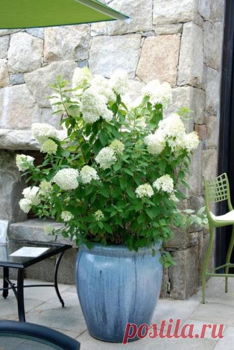 ....................