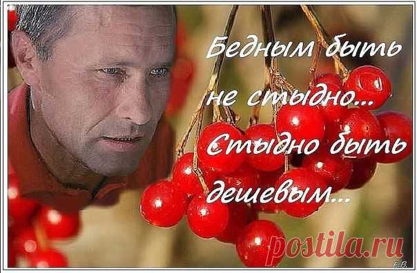 Ольга Богомолова