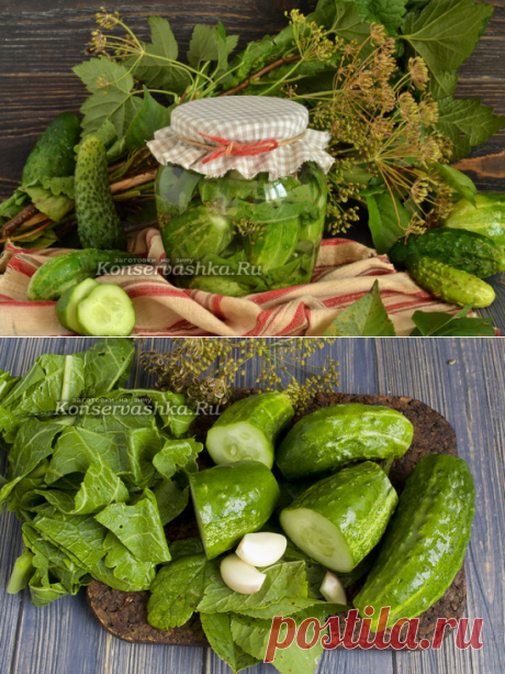 Квашеные огурцы в банках как бочковые под железную крышку