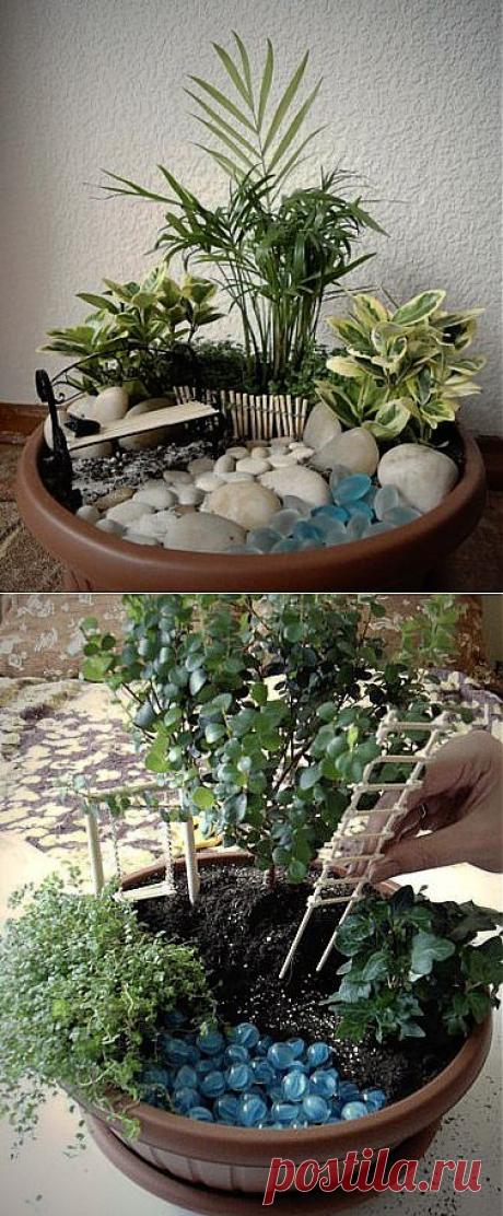 Мини-сад в горшке | Хитрости Жизни