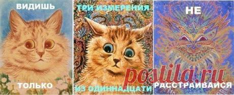 В современной теории суперструн (М-теории) 11 измерений / Физика невозможного!