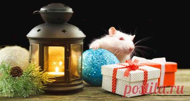 2020 год кого и какого цвета по восточному календарю