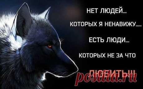 Любовь