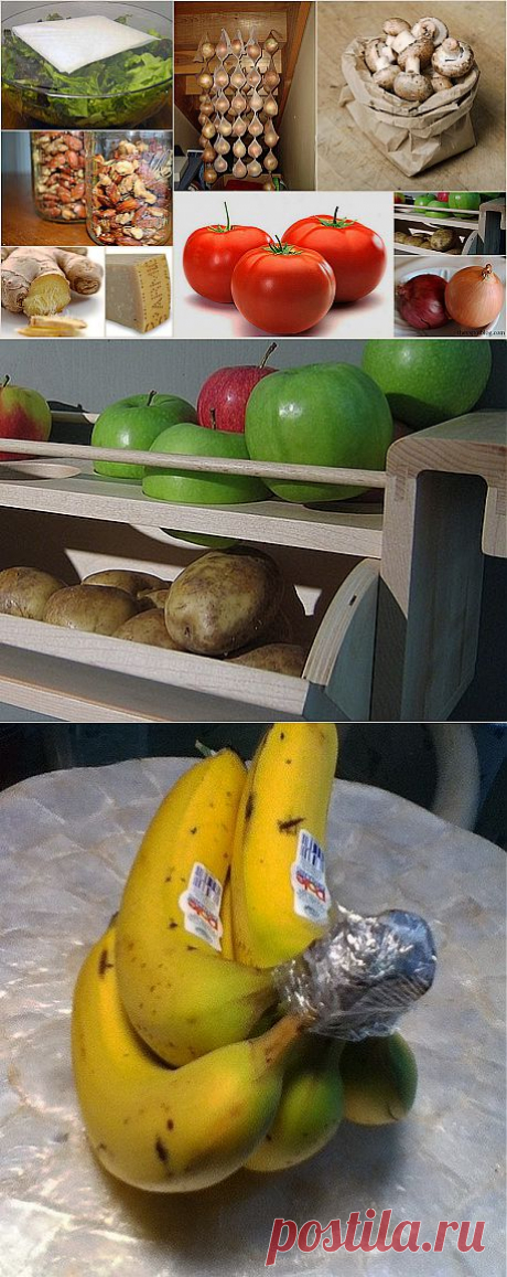 КАК ПРАВИЛЬНО ХРАНИТЬ ПРОДУКТЫ - Блог Марина на 24open.ru