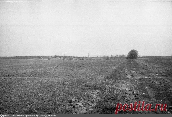 Поле у села Андреевское - Фотографии прошлого