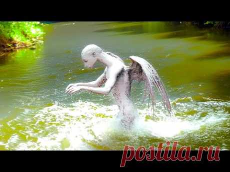 20 REAL Mythical Creatures Caught on Camera
