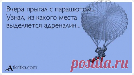 Анекдоты и фразы в картинках | Смехопанорама