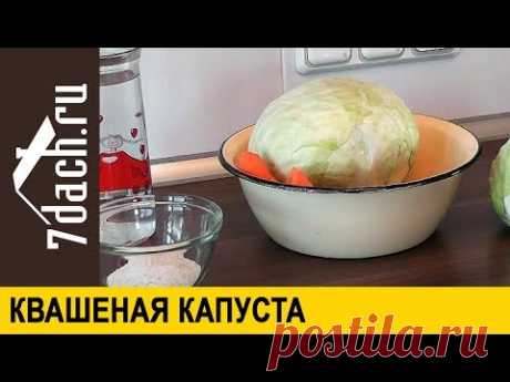 Квашеная капуста: простой способ без перетирания - 7 дач
