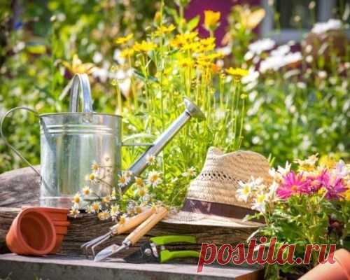 Лунный календарь посадки рассады на 2018 год. Посев рассады перца, помидор, цветов по лунному календарю