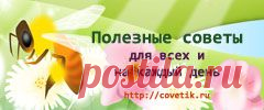 Идеи вашего дома: Как продлить жизнь срезанным цветам