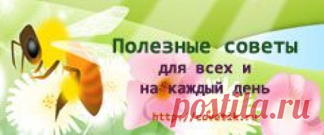 Идеи вашего дома: Как продлить жизнь срезанным цветам