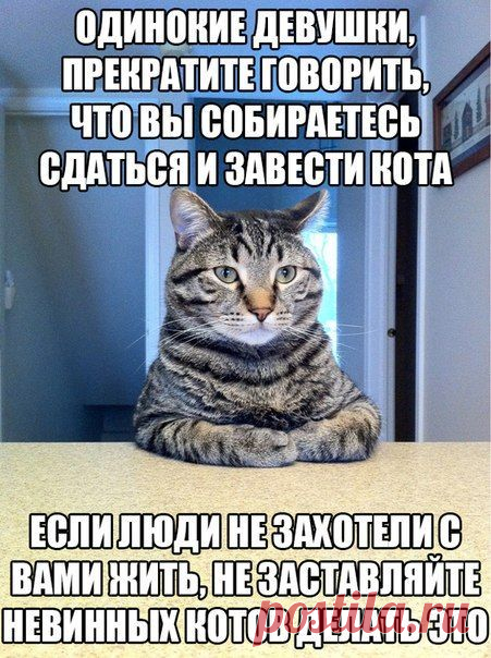 Байки из склепа
