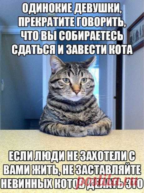 Байки из склепа