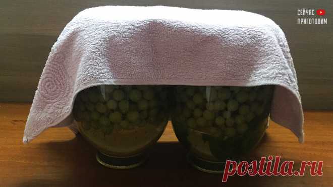 ЗАКРОЙ ХОТЬ 100 БАНОК - ВСЕГДА БУДЕТ МАЛО. МОХИТО ИЗ ЗЕЛЕНОГО КРЫЖОВНИКА | Сейчас Приготовим! | Яндекс Дзен