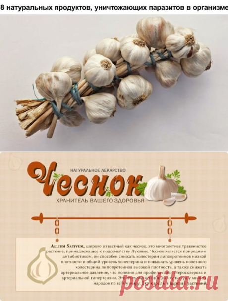 (18) Одноклассники