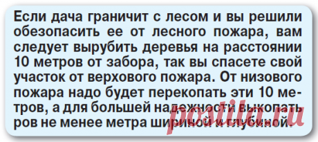 Дачникам придумали новые штрафы