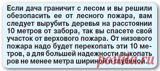 Дачникам придумали новые штрафы