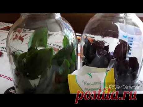 Компот из базилика на зиму