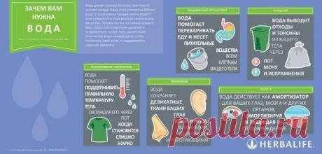 Гербалайф Семипалатинск
