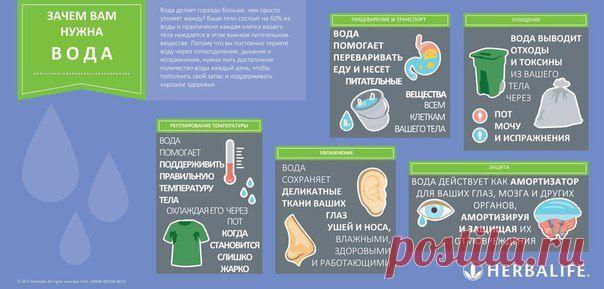 Гербалайф Семипалатинск