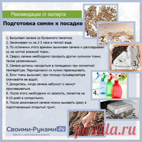 Подготовка семян к посеву | УФМС Паспортный стол РФ