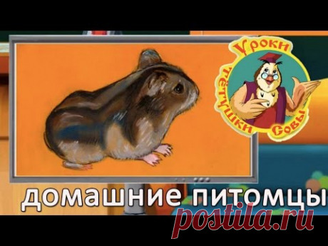 Уроки Тетушки Совы - Мои домашние питомцы - Все серии подряд