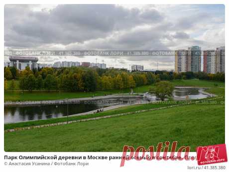Парк Олимпийской деревни в Москве ранней осенью в сентябре. Прогулка в московском парке. Олимпийские пруды. (2016 год) Редакционное фото, фотограф Анастасия Усанина / Фотобанк Лори