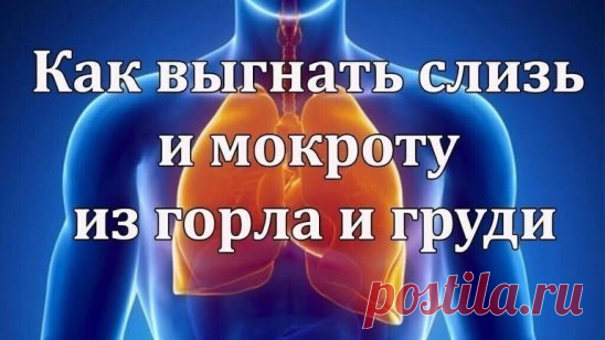 Как устранить слизь, мокроту из горла и груди