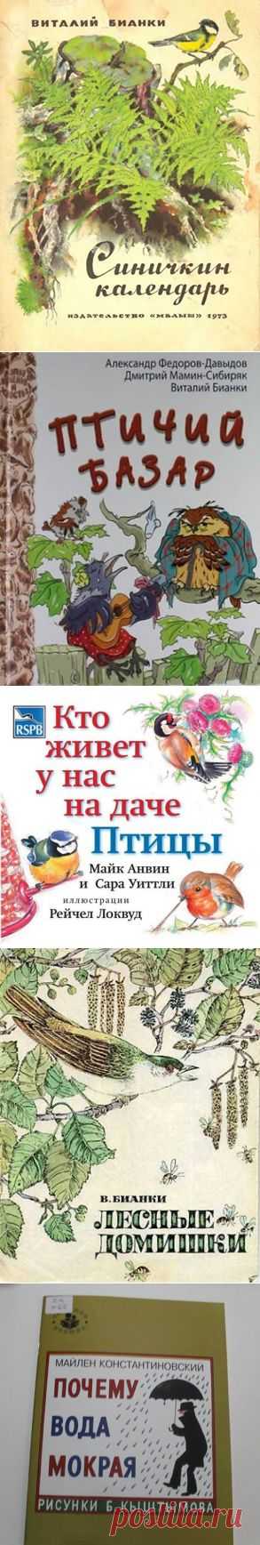 Экологический кружок «ЗЕМЛЯНЕ»