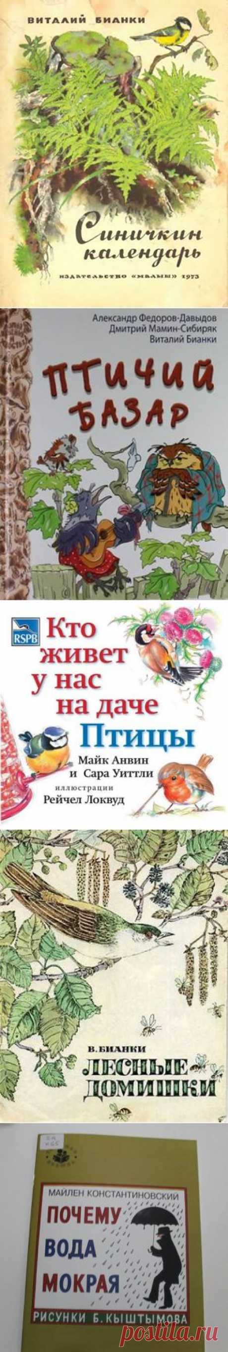 Экологический кружок «ЗЕМЛЯНЕ»
