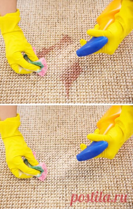 6 причин плохого запаха в вашем доме и способы их устранить - Все обо Всем